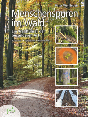cover image of Menschenspuren im Wald
